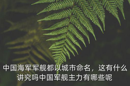 中國軍艦以河南命名的有多少,中國軍艦主力有哪些呢