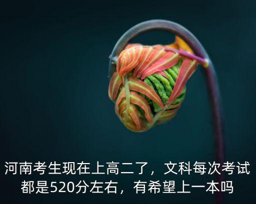 今年河南文科一本線多少,有希望上一本嗎