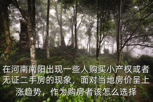 在河南南陽出現一些人購買小產權或者無證二手房的現象，面對當地房價呈上漲趨勢，作為購房者該怎么選擇