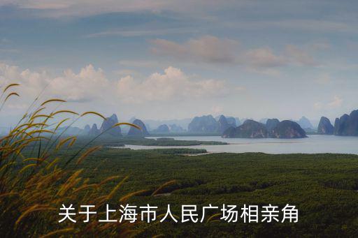 關于上海市人民廣場相親角