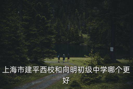 上海建平西校，上海市建平西校和向明初級中學哪個更好
