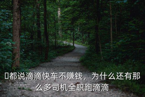 周口滴滴打車怎么樣,在周口市區跑滴滴怎么樣