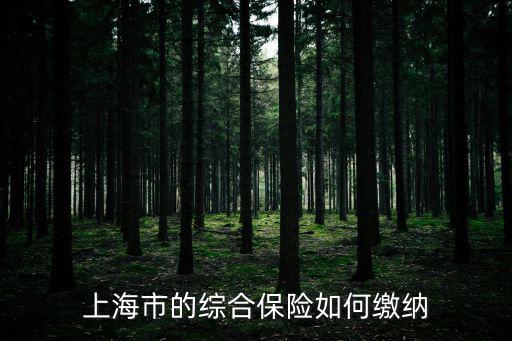 上海保險，上海外來務工人員綜合保險