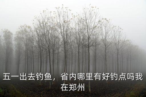 鄭州夜釣哪里好釣魚,在鄭州周邊釣魚