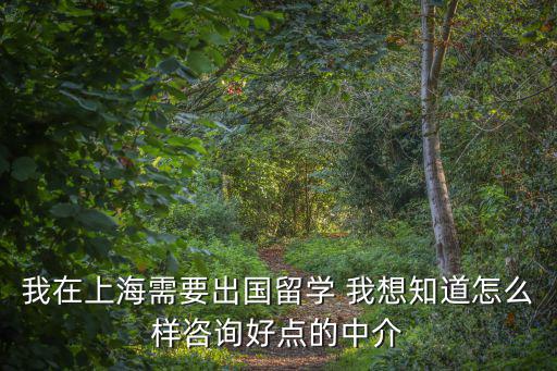 我在上海需要出國(guó)留學(xué) 我想知道怎么樣咨詢好點(diǎn)的中介