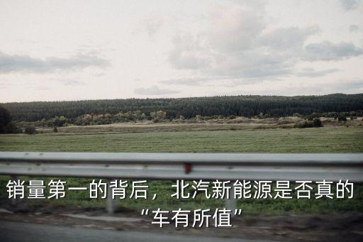 銷量第一的背后，北汽新能源是否真的“車有所值”