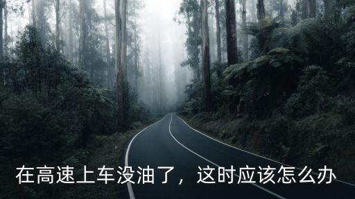 在周口高速上沒油了怎么辦,在高速上車沒油了