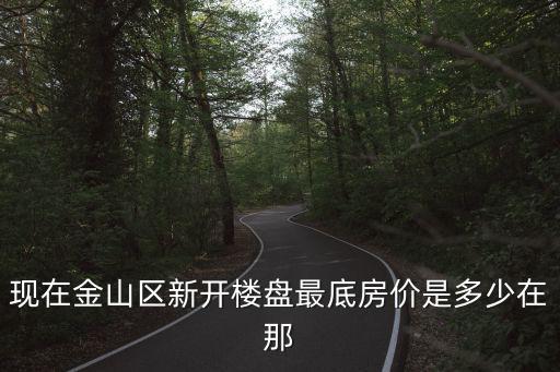 現在金山區新開樓盤最底房價是多少在那