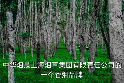 中華煙是上海煙草集團有限責任公司的一個香煙品牌