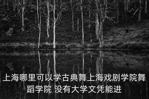 上海哪里可以學古典舞上海戲劇學院舞蹈學院 沒有大學文憑能進