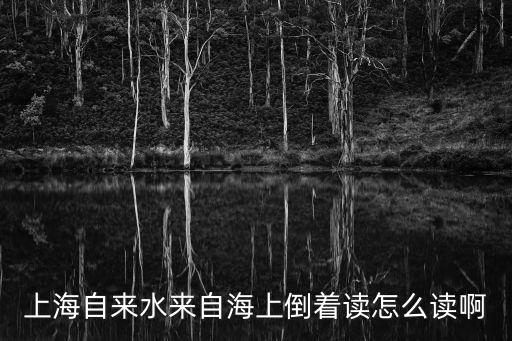 上海自來(lái)水來(lái)自海上，會(huì)上出了一則上聯(lián)上海自來(lái)水來(lái)自海上