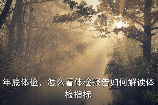 年底體檢，怎么看體檢報(bào)告如何解讀體檢指標(biāo)
