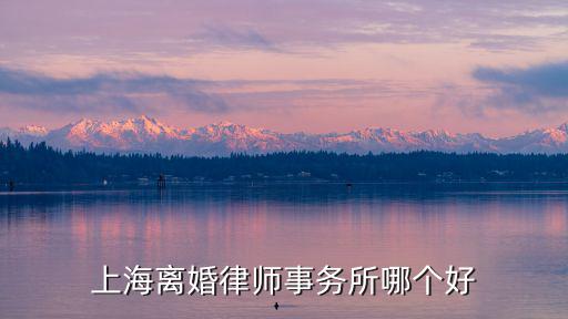 上海離婚律師事務(wù)所哪個(gè)好