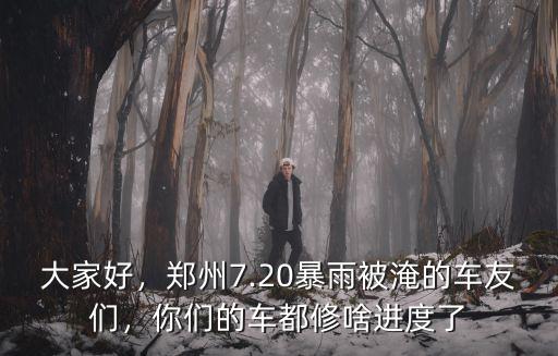 大家好，鄭州7.20暴雨被淹的車友們，你們的車都修啥進度了