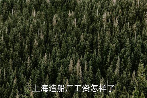 上海船廠，上海船廠船舶有限公司怎么樣