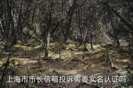 上海市市長信箱投訴需要實名認證嗎