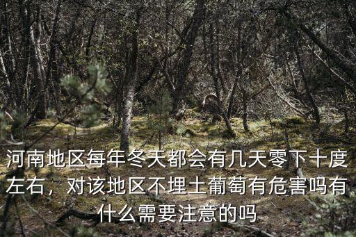 河南地區每年冬天都會有幾天零下十度左右，對該地區不埋土葡萄有危害嗎有什么需要注意的嗎