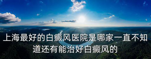 上海治療白癜風(fēng)醫(yī)院，上海最好的白癜風(fēng)醫(yī)院是哪家一直不知道還有能治好白癜風(fēng)的