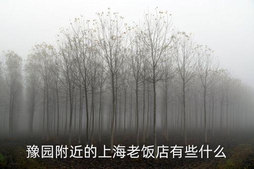 豫園附近的上海老飯店有些什么