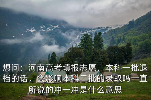 河南本科一批被退檔怎么辦,本科一批退檔的話