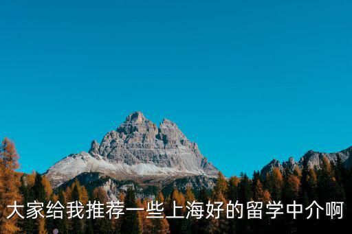 大家給我推薦一些上海好的留學中介啊