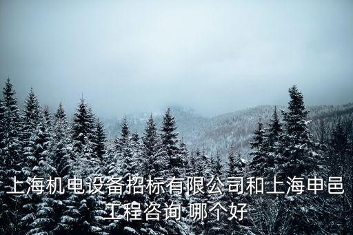 上海機電設備招標有限公司和上海申邑工程咨詢 哪個好