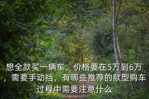 想全款買(mǎi)一輛車，價(jià)格要在5萬(wàn)到6萬(wàn)，需要手動(dòng)擋，有哪些推薦的款型購(gòu)車過(guò)程中需要注意什么