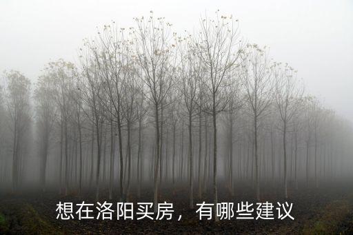 想在洛陽買房，有哪些建議