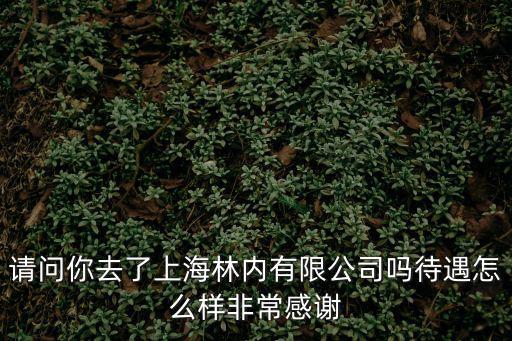 請(qǐng)問(wèn)你去了上海林內(nèi)有限公司嗎待遇怎么樣非常感謝