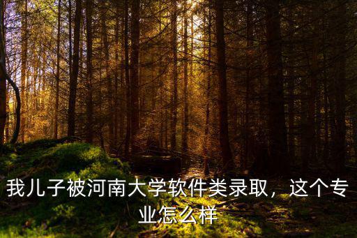 我兒子被河南大學軟件類錄取，這個專業怎么樣