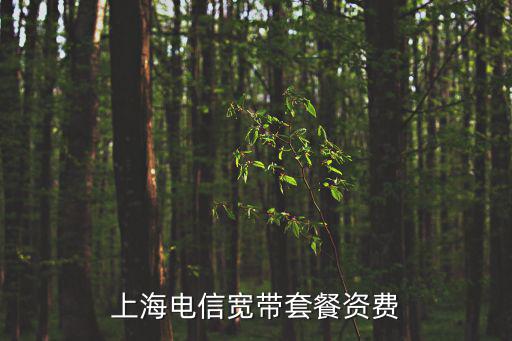上海電信寬帶套餐資費