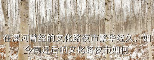 在漯河曾經(jīng)的文化路夜市繁華經(jīng)久，如今南遷后的文化路夜市如何