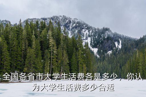 河南大學生平均生活費多少,一線城市大學生生活費要多少