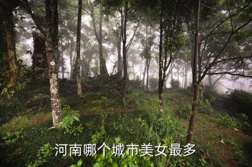 河南周口西華縣哪里美女多,河南哪個城市美女最多