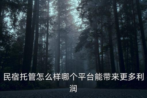 民宿托管怎么樣哪個平臺能帶來更多利潤
