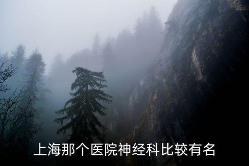 上海協(xié)和醫(yī)院，上海那個醫(yī)院神經(jīng)科比較有名