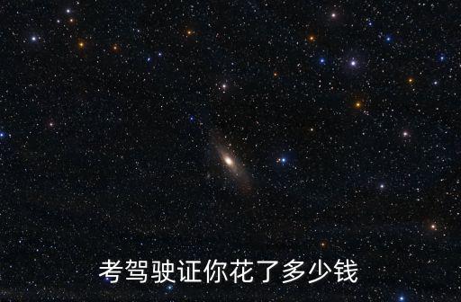 考駕駛證你花了多少錢
