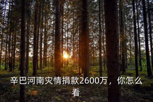 辛巴河南災(zāi)情捐款2600萬，你怎么看