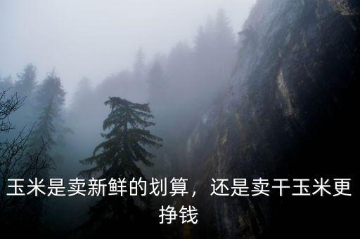 玉米是賣新鮮的劃算，還是賣干玉米更掙錢