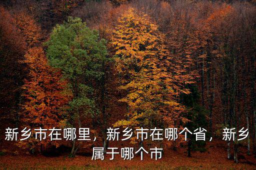 新鄉(xiāng)市在哪里，新鄉(xiāng)市在哪個省，新鄉(xiāng)屬于哪個市
