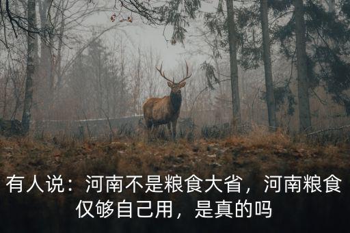 有人說：河南不是糧食大省，河南糧食僅夠自己用，是真的嗎