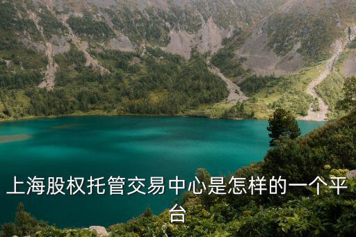 上海股權托管交易中心是怎樣的一個平臺