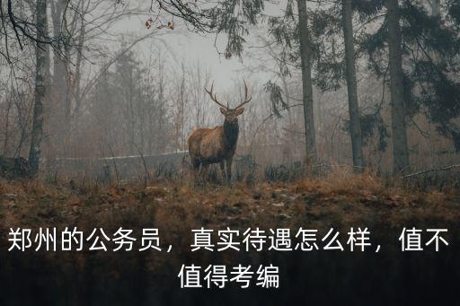 鄭州少管所單位待遇怎么樣,鄭州的公務員