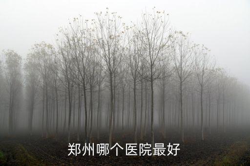 鄭州哪個醫院最好