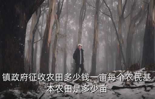 鎮政府征收農田多少錢一畝每個農民基本農田是多少畝