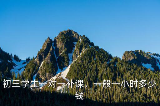 初三學生一對一補課，一般一小時多少錢