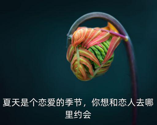 夏天是個戀愛的季節，你想和戀人去哪里約會