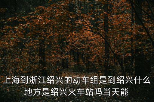 上海到浙江紹興的動車組是到紹興什么地方是紹興火車站嗎當天能