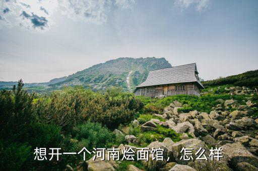 河南正宗手工燴面館怎么樣,想開一個河南燴面館