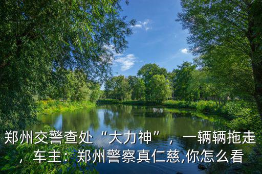 鄭州大力神被交警收罰款多少,鄭州交警查處大力神